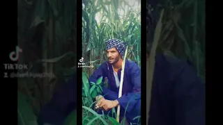 ما قليل البخت عبد الكلب في الطياره      دندنها