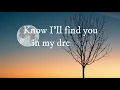 Lost Sky - Dreams pt. II (feat. Sara Skinner) Lyrics