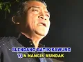 Download Lagu Lelo Ledung - Didi Kempot