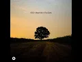 Meet Me In The Dark - AVE