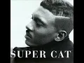 Kriss Kross F. Supercat Jump Remix.wmv