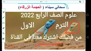 سحالى سيناء العجمة الزرقاء اخر درس فى الوحدة الاولى علوم الصف الرابع منهج جديد 2022ترم اول 