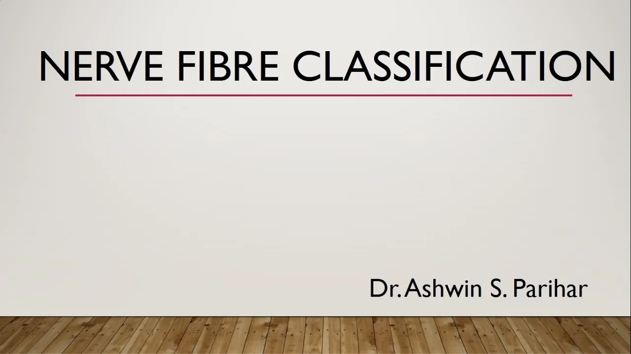 Nerve fibre classification