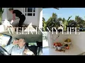 Download Lagu The Collagen co, The Davis Farm, New piercing \u0026 mum life
