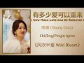 有多少爱可以重来 (How Much Love Can Be Repeated) - 商潮 (Shang Chao)《风吹半夏 Wild Bloom》Chi/Eng/Pinyin lyrics