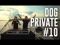 Download Lagu Dubdogz- DOGPRIVATE #10 (Street River - Floresta Amazônica, Belém - PA)