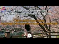[ SUB INDO ] Ingrid Michaelson, ZAYN - To Begin Again | Lyrics Video Terjemahan Indonesia |