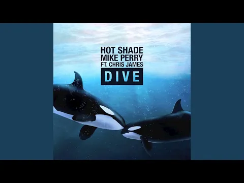 Download MP3 Dive