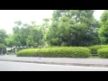 YES-YES-YES(オフコース　2013.6.30武道館)