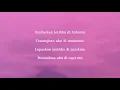 Download Lagu Rayu - Samsons (lirik video)