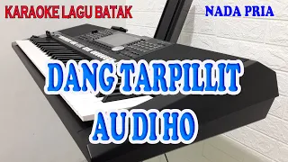 Download DANG TARPILLIT AU DI HO [KARAOKE LAGU BATAK] NADA PRIA D=DO MP3