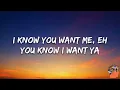 Download Lagu Pitbull - I Know You Want Me (Calle Ocho) [Lyrics / Letra Oficial]