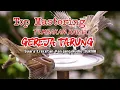 Download Lagu MASTERAN SUARA GEREJA TARUNG‼️