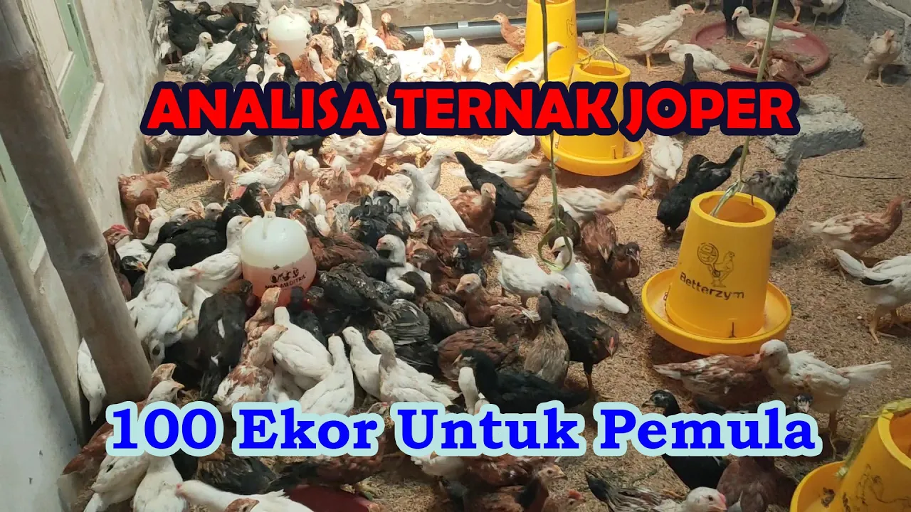 7 Hewan Langka dan Unik Hasil Rekayasa Genetika Manusia