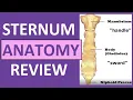 Sternum Anatomy Manubrium Gladiolus Xiphoid Process