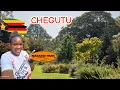 Download Lagu Exploring the Most Luxurious and Lush Events Garden Owned by a Zimbabwean in the UK