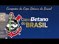 (Remake) Champions of the Betano Cup of Brazil (1989-2025)