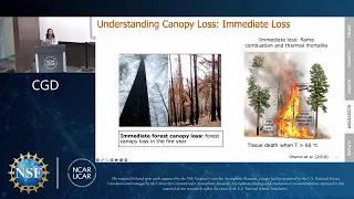 CGD Seminar Huilin Huang University Of Virginia 