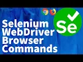 Selenium Tutorial for Beginners 10 - Selenium WebDriver