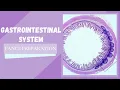 Gastrointestinal System PANCE Preparation