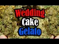 Wedding Cake Gelato from Goldleaf Strain Review by Randy Rhoads FL