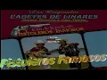 Los Cadetes De Linares - Pistoleros Famosos (+Letra) [Pistoleros Famosos] HD