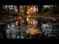 Download Lagu Whispering Leaves - Oriental Meditation | Chinese Erhu, Soothing Chillout