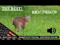 BEST BOBCAT PREDATOR CALL Distress Jackrabbit Cottontail Sound Hunting Shooting Free 1 Hour USA