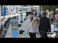 Cervia elections: the center-right hopes to reach a candidate soon. The center-left has many name...