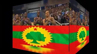 Adam Harun Old Oromo Sirba Jaalalaa Subscribe Like Godhuu Dagatina 