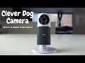 Clever Dog Camera Camera Wireless Network Camera Made Portable FULL SETUP