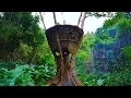 Download Lagu ชายคนหนึ่งเปลี่ยนต้นไม้โบราณให้กลายเป็นบ้านสุดหรูกลางป่าลึก