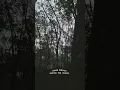 Download Lagu sudah terlalu banyak tuk senang
