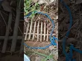 Jerat babi hutan atau jipah tradisonal #jeratbabi #jerat #babihutan #pig #trap #pig