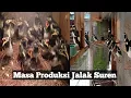 Download Lagu IDEALNYA USIA BURUNG JALAK SUREN MULAI BERTELUR - su kamdi