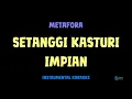 Download Lagu Metafora [ SETANGGI KASTURI IMPIAN ] [ Instrumental ] [ Karaoke + Lirik ]