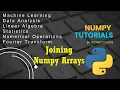 How to concatenate Numpy Array Numpy Tutorials