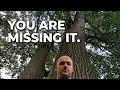The Shift That Changes How You See Reality