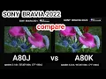 SONY A80K vs A80J