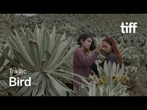 BIRD Trailer | TIFF 2023