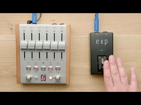 Chase Bliss Audio Exp Roller Expression Pedal | Delicious Audio
