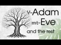 Download Lagu Y-Adam, mt-Eve  and our other ancestors.
