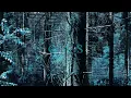 GAS - NARKOPOP (Trailer)