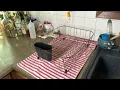 This Rubbermaid Dish Rack Holds All Your Dishes