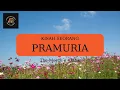 Lagu Kisah seorang Pramuria - The Mercy´s - Lirik