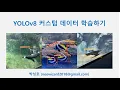 YOLOv8
