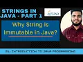 String in Java Why are strings immutable in java Introduction to java programming part-1