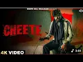 Download Lagu Masoom sarma || CHEETE ( official video) New song masoom sarma 2025