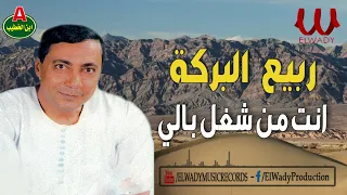 ربيع البركة انت من شغل بالي Rabea El Baraka Enta Mn Shaghal Baly 