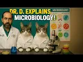 Chapter 5 - A Survey of Eukaryotic Cells and Microorganisms